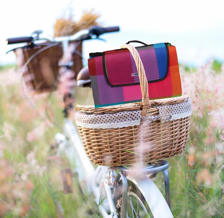 Immagine prodotto Relaxdays Coperta da picnic a quadri
