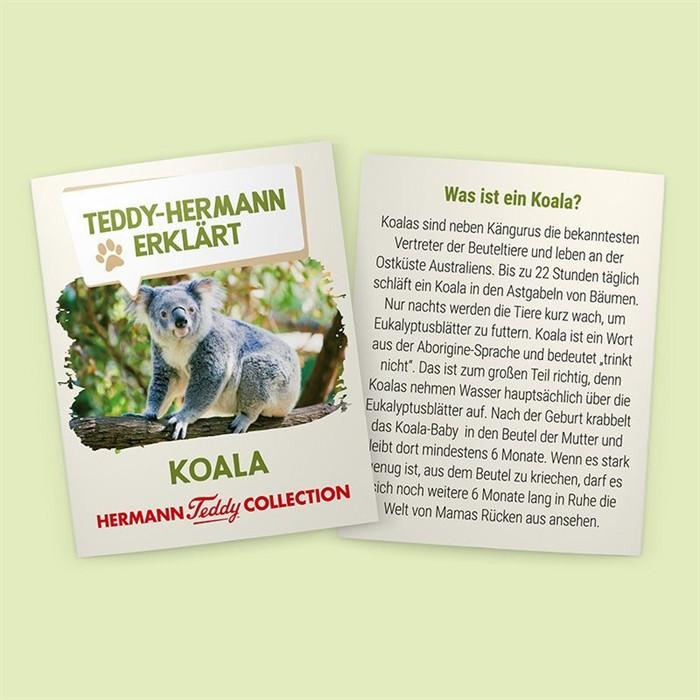 Image du produit Teddy Hermann Ours koala (21 cm)