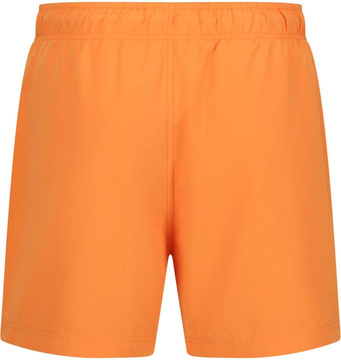 Produktbild Regatta Mawson II Kurze Hose