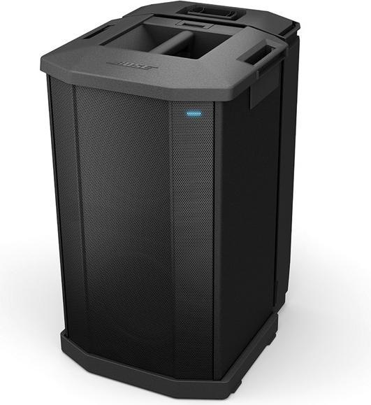 Actual product image Bose F1 Subwoofer (1 pcs., 1000 W)