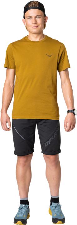 Image du produit Dynafit 24/7 Graphic T-Shirt (XL)