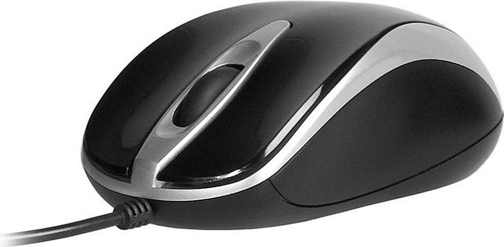 Tracer TRAMYS45923 Souris droite USB Type-A Optique 800 DPI (Filaire)