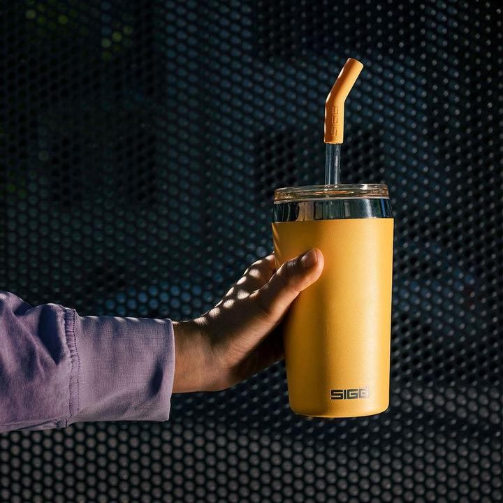 Actual product image Sigg Helia (0.45 l)