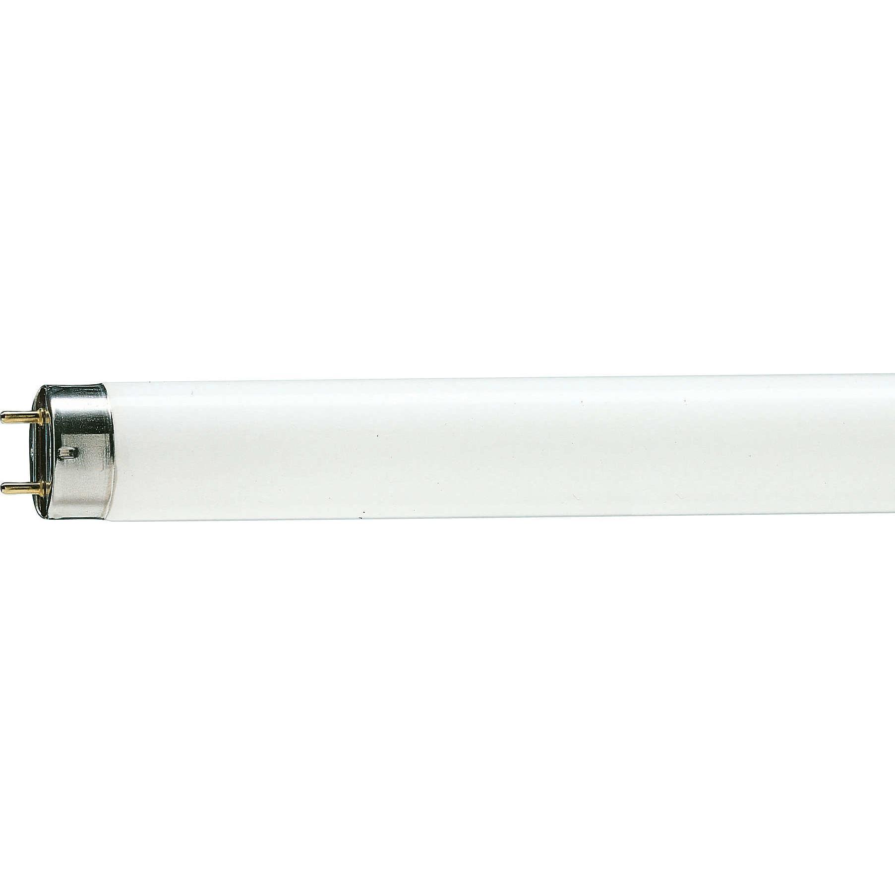 Philips, Lampadina, Lampada fluorescente (G13, 1150 lm, 1 x)