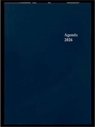 Simplex Geschäftsagenda (148 x 208 mm, Deutsch)