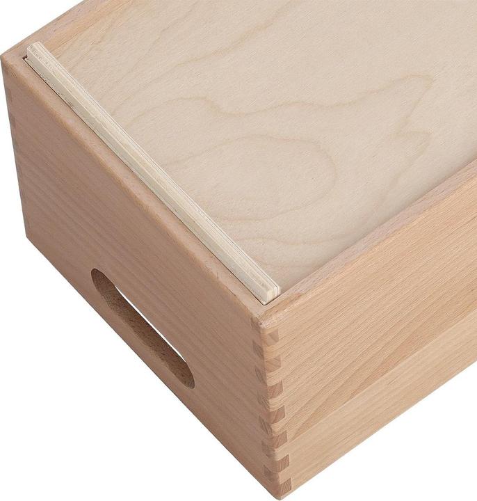 Image du produit Zeller Present Boîte polyvalente (30 x 20 x 15 cm, 6.60 l)