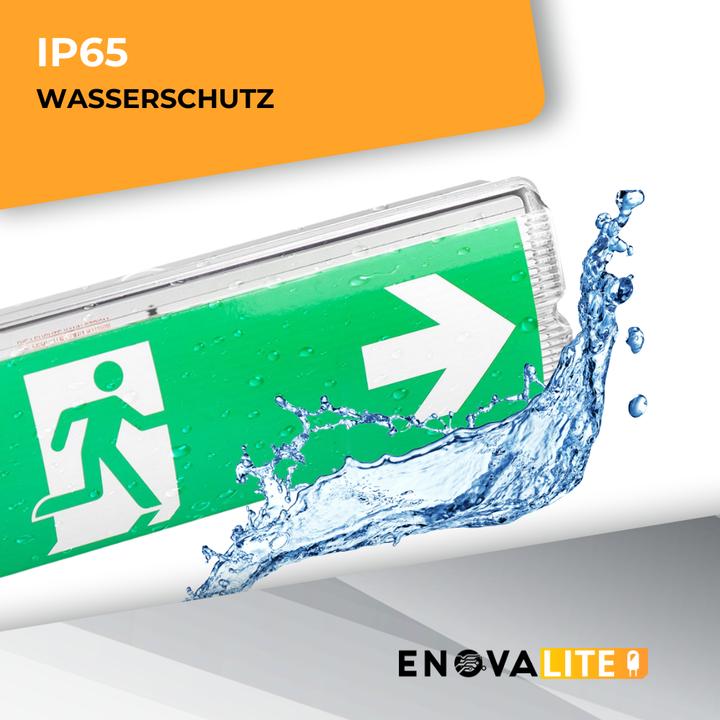 Actual product image Enovalite LED escape route light, 8 h emergency light