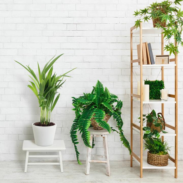 Immagine prodotto Relaxdays Scatola per pipistrelli