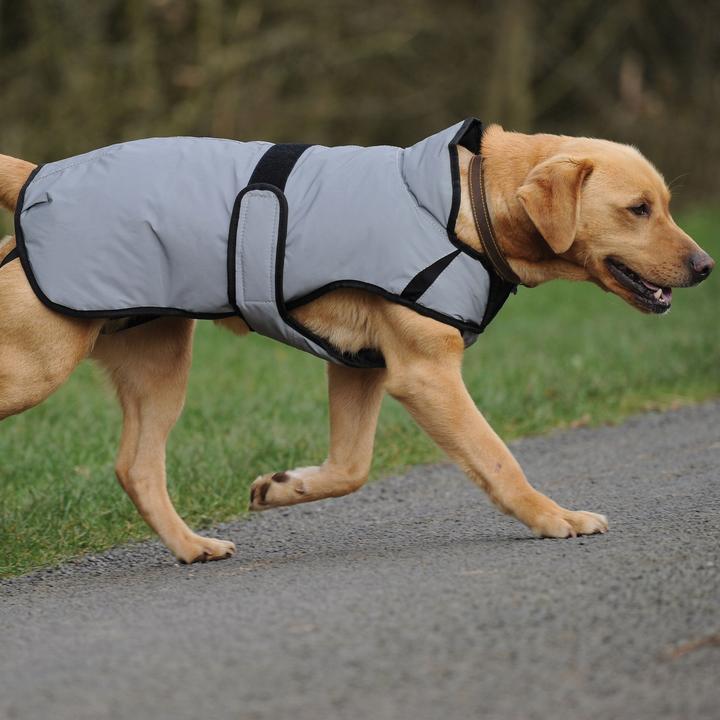 Actual product image Weatherbeeta Comfitec moyen (25, Dog coat)