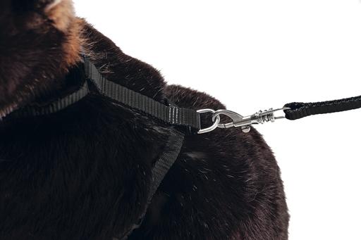 Actual product image Karlie Art Sportiv Plus Rabbit Harness and Leash (One size, Rodents, Walks)