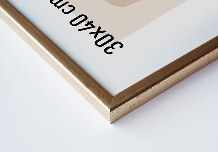 Immagine prodotto Nielsen Zoom