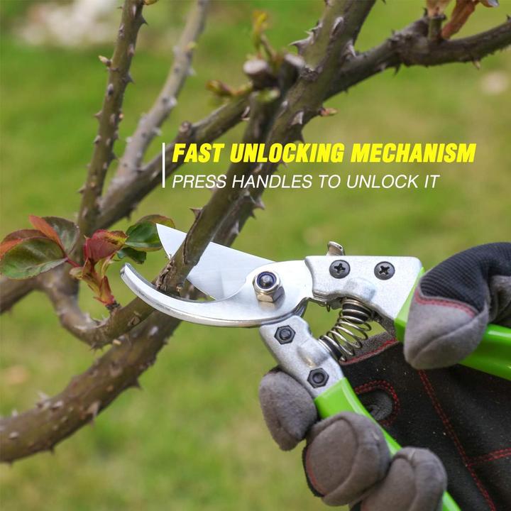 Actual product image Workpro Garden tool set