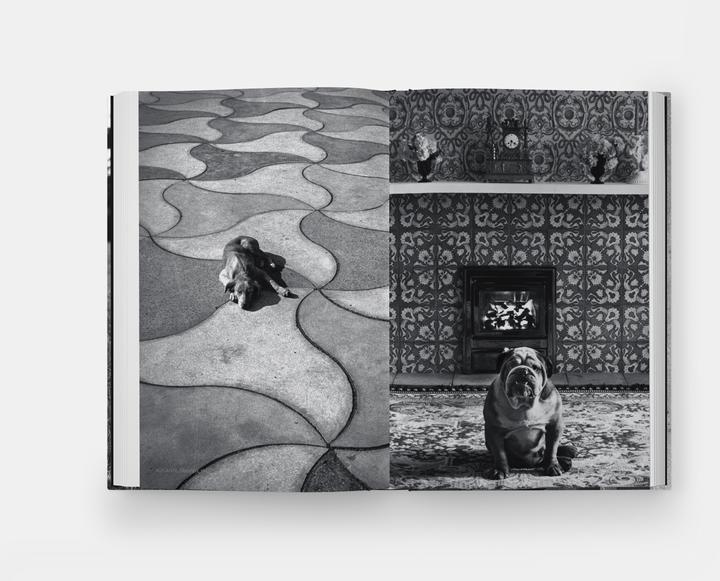 Immagine prodotto Hunde lieben