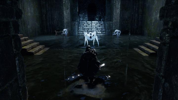 Actual product image Nacon Gaming Hell is Us (PS5, DE, FR)