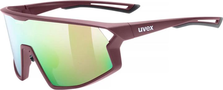 Lunettes de sport
