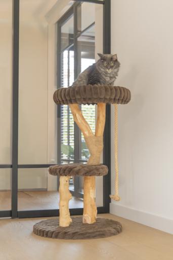 Produktbild Designed by Lotte Kratzmöbel Reya (Braun)