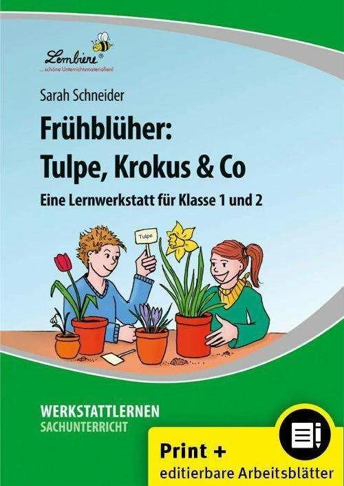 Produktbild Frühblüher: Tulpe, Krokus & Co (Set) (Deutsch, Sarah Schneider, 2023)