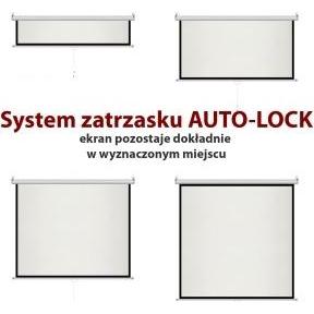 Thumbnail - Art ER M84 1:1 manual display semi-a (1:1), Leinwand