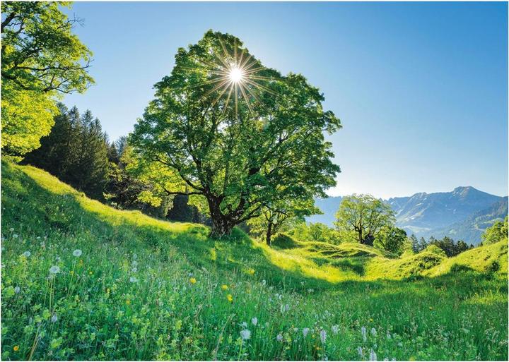 Produktbild Schmidt Spiele Berg-Ahorn im Sonnenlicht St. Gallen 1000 Teile (1000 Teile)