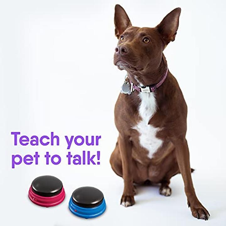 Image du produit Hunger for Words Kit de démarrage Talking Pet (Jouet d'occupation chien)