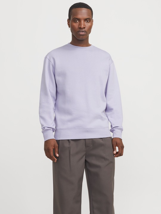 Actual product image Jack & Jones Jjestar Basic Sweat Crew Neck Noos (XS)
