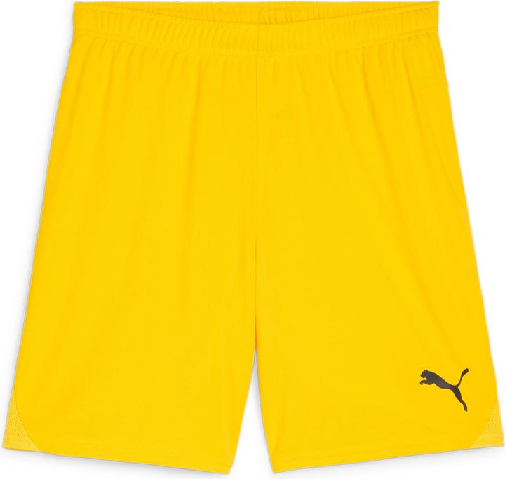 Image du produit Puma teamGOAL Short (L)