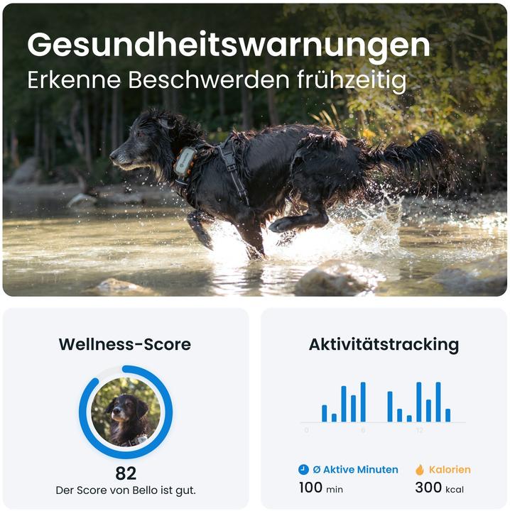 Produktbild Tractive GPS Dog (XL, Hund, Spazieren, Jogging, Hundesport)