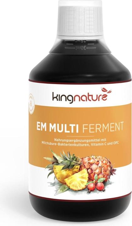 Produktbild Kingnature EM Multi Ferment (1 Stück, Flüssigkeit, 551 g)
