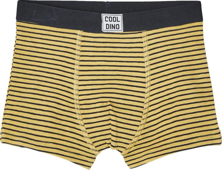 Actual product image Vertbaudet Unterwaesche Unten (152, 5-pack)