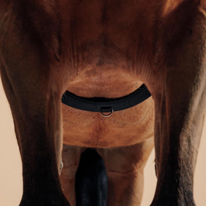 Actual product image Fouganza Lunging girth horse polypropylene