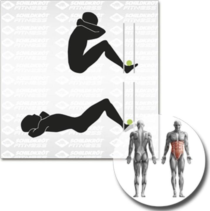 Actual product image Schildkröt Pull-up bar