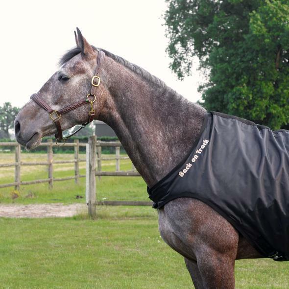 Immagine prodotto Back on Track Coperta guida (145 cm)