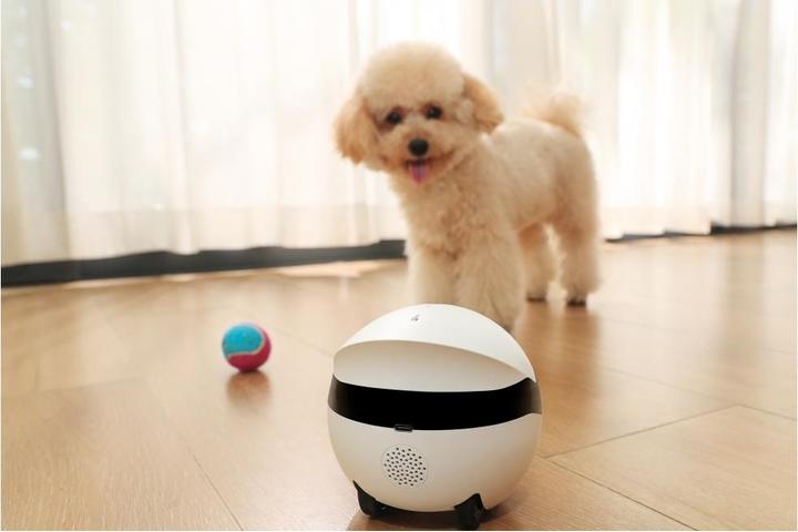 Image du produit Enabot Mini robot compagnon Rola (2304 x 1296 Pixels)