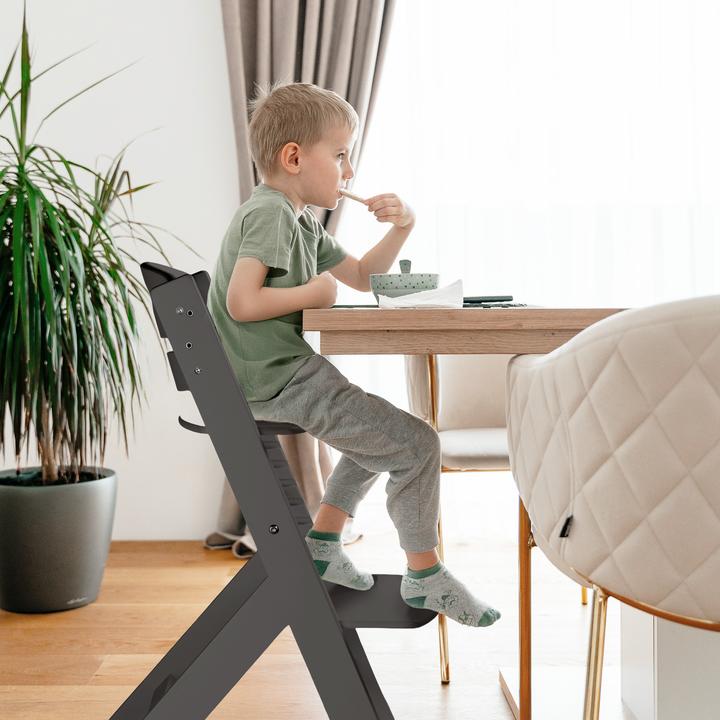 Actual product image BabyGo Family Pro grey (Highchair)
