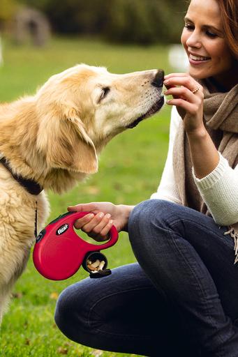 Produktbild Flexi Multibox (One Size, Hund, Spazieren)
