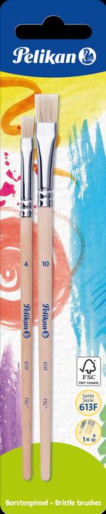 Actual product image Pelikan Brushes type 613F, size 4 and 10 (4 mm)