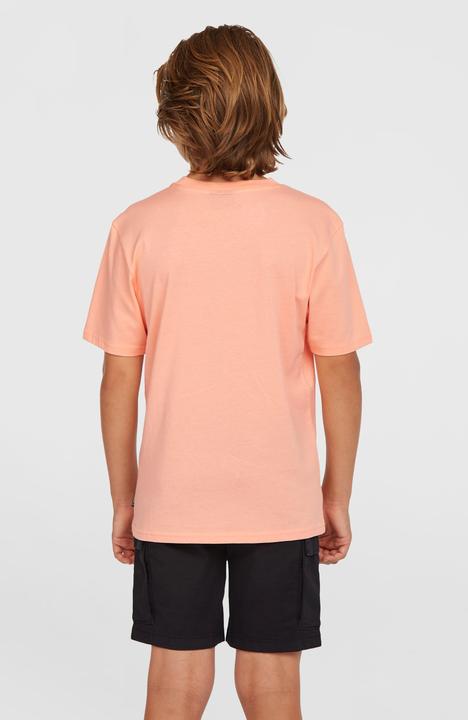 Produktbild O'Neill Cargo Shorts (152)