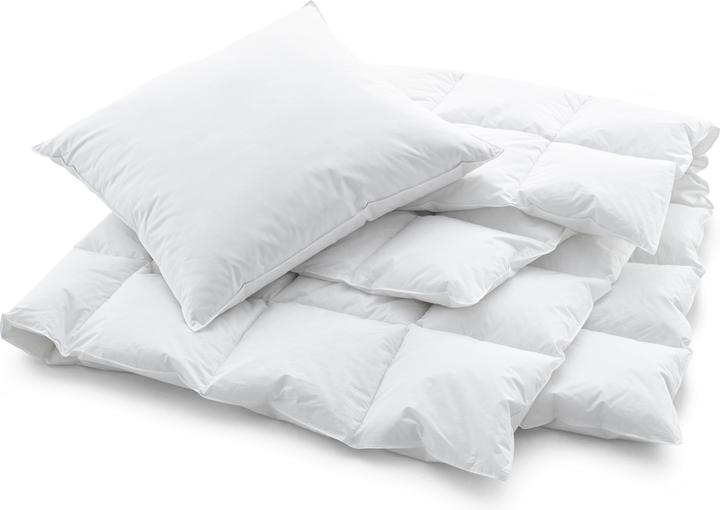 Actual product image Swiss Dream by billerbeck Cassette Cosy (850 g, 160 x 210 cm)