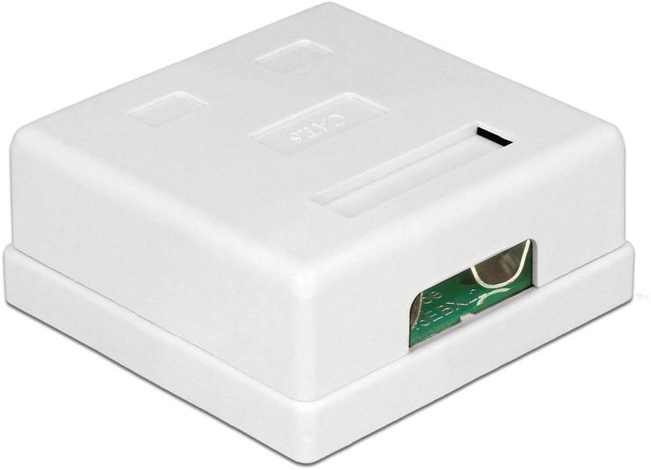 Actual product image Delock RJ-45 Cat.6 housing: 2 port (Network Accessories)