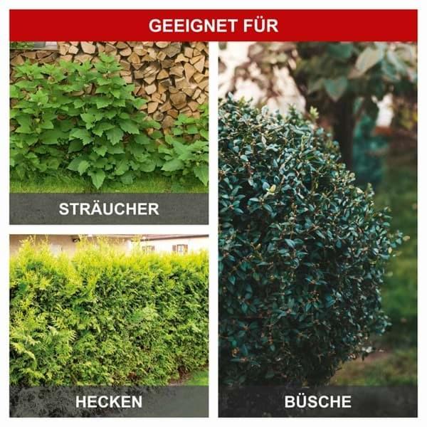 Image du produit Scheppach Taille-haies électrique télescopique (Fonctionnement sur secteur)