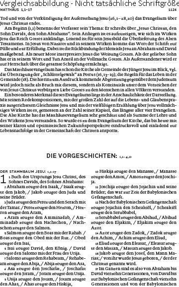Produktbild Die Bibel (Deutsch, 2016)