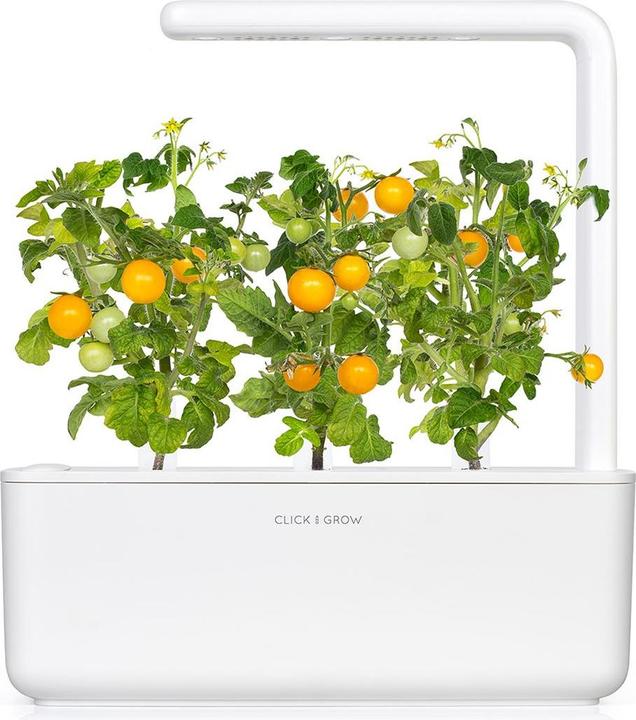 Produktbild Click and Grow Gelbe Cherrytomaten (Gemüsesamen)