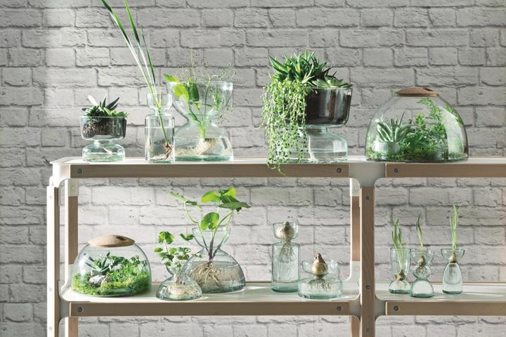 Image du produit LSA Canopy Geschlossenes Garten H16.5cm - recy. Optik (1 x)