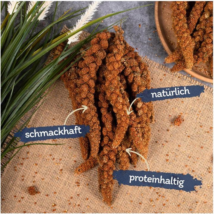 Produktbild Lyra Pet Kolbenhirse (1 x, 1 kg)