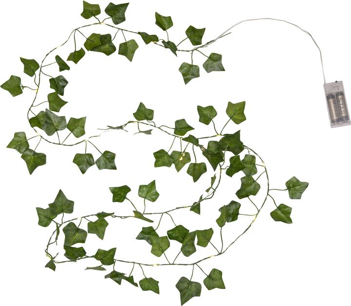 Produktbild Star Trading Lichterkette Ivy (2 m)