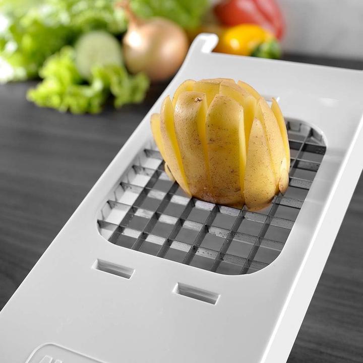 Image du produit Alligator Ensemble de Hachette