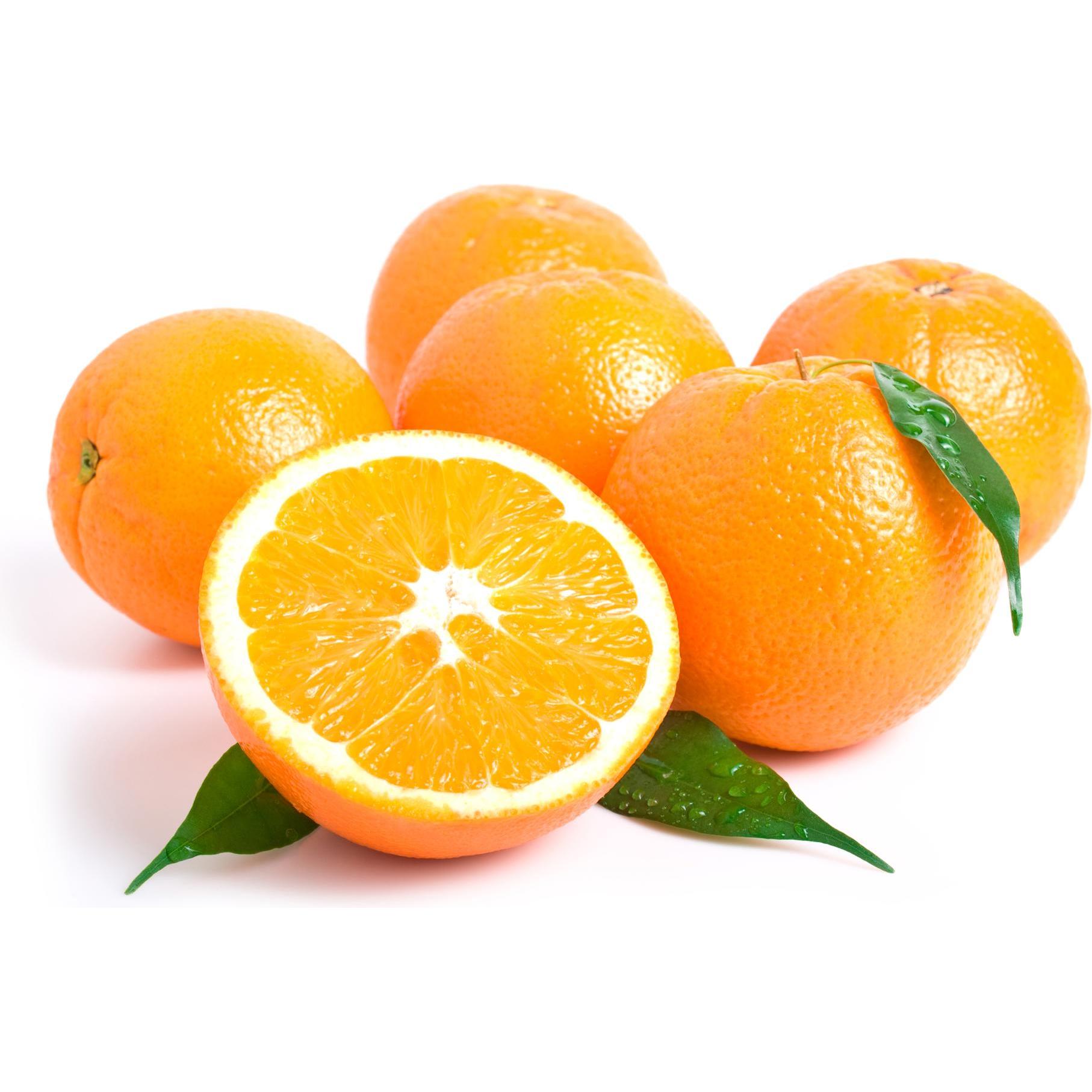 Thumbnail - Yogistar, Yogamatte