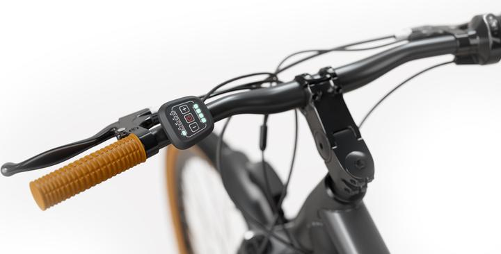 Produktbild Sharp E-BIKE BK-DM03-EB (46 cm)