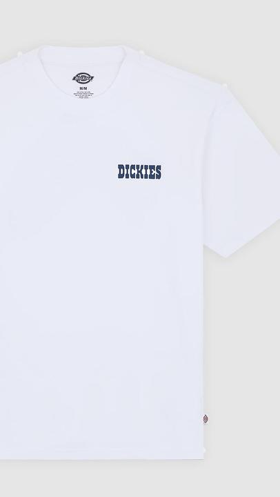 Produktbild Dickies Plain City Ss Tee (L)