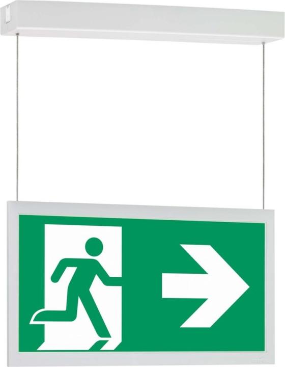 Actual product image Eaton CENO LED single-battery light